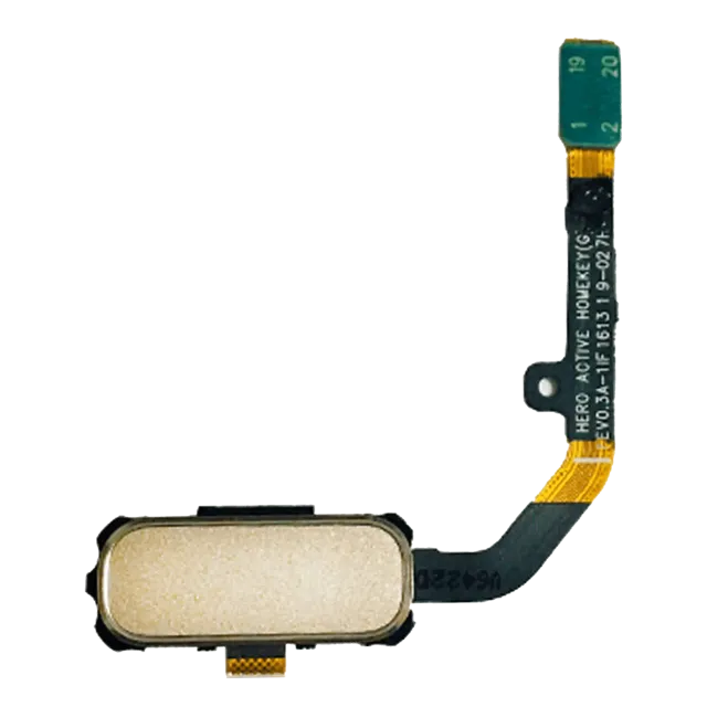 Flex kabel tlačítka Home pro Samsung Galaxy S7 Active (Sandy Gold)