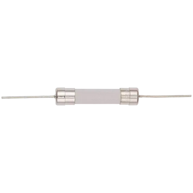 Fuse pro Playstation 5 (T8A / H / 250V) (6MMx30MM) (nutné pájení)
