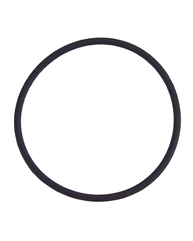 Těsnění zadní kamera sklíčko O-Ring pro iPhone 7 Plus (balení 100 ks)